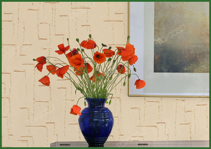 �����ࡪ�ֲ��b�