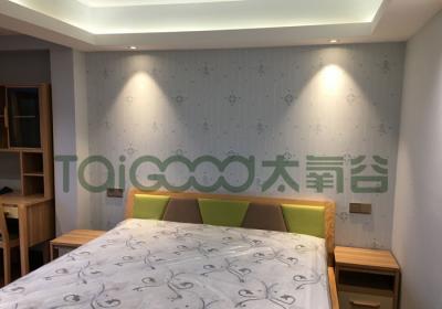 �V�ݘI����2����̿��ӡ����